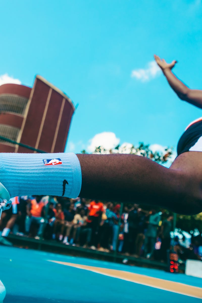 Sandrine Nirelli basket 2